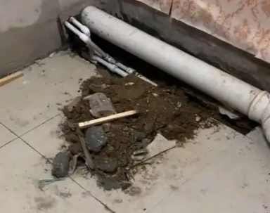 凤冈卫生间漏水检测哪家好